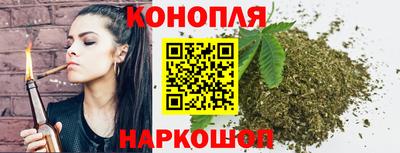 дживик Славгород